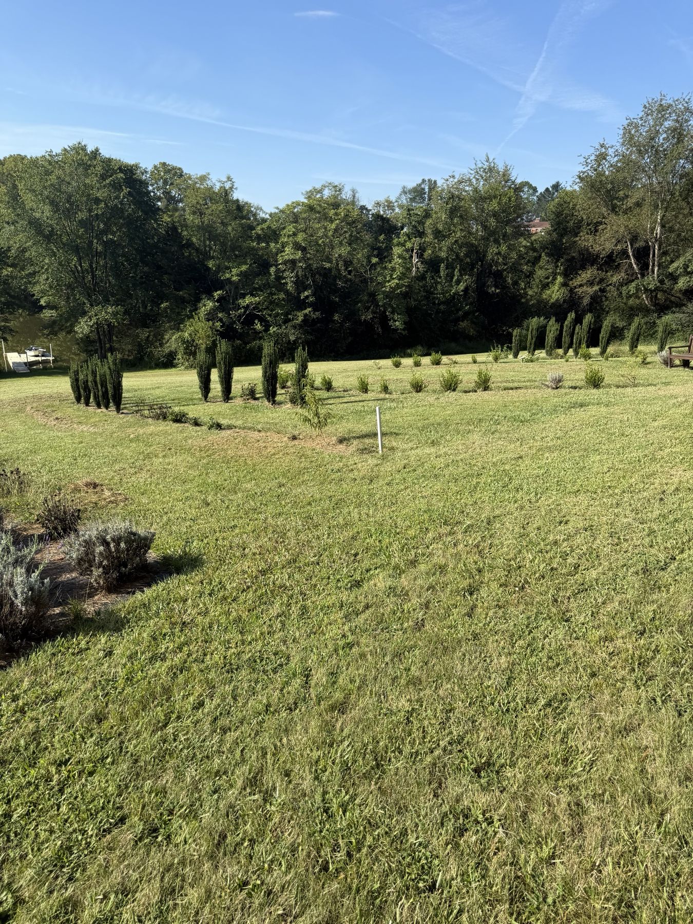 Gardens and lavender